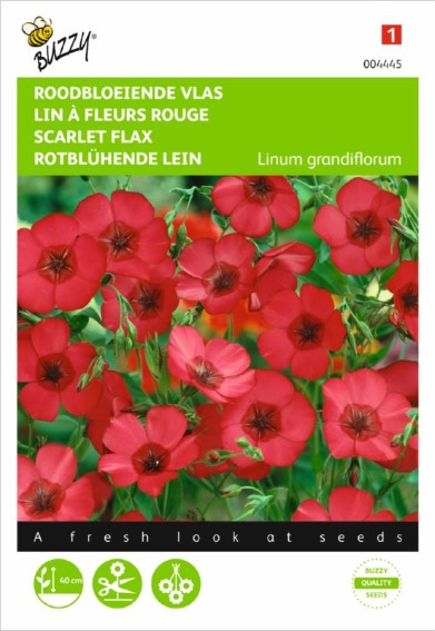 Flax Rubrum (Linum grandiflorum) 375 seeds BU